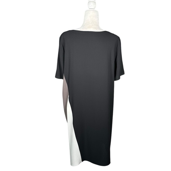 EILEEN FISHER Silk Georgette Crepe Color Block Shift Dress - Picture 10 of 13